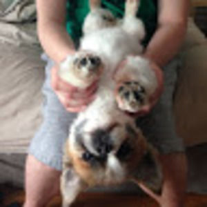 Meet your Posher, Francesca